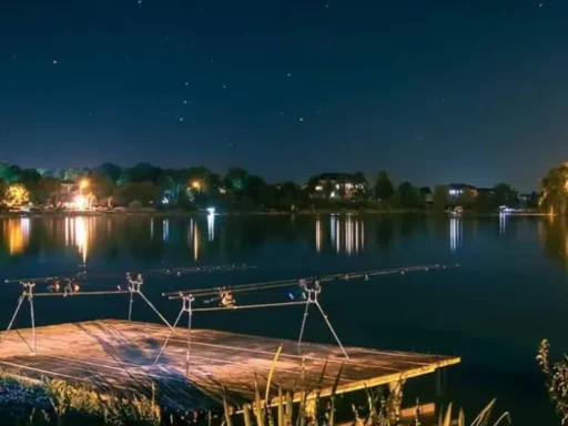 Balta Periș – Refugiul Pescăresc din Nordul Capitalei