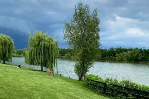 Balta Solacolu – Ghid Complet pentru Pescuit în 2025