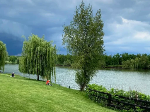 Balta Solacolu – Ghid Complet pentru Pescuit în 2025