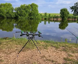 Regulament și Taxe pentru Pescuit la Balta Valea Liliecilor