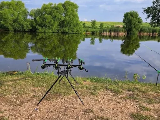 Regulament și Taxe pentru Pescuit la Balta Valea Liliecilor