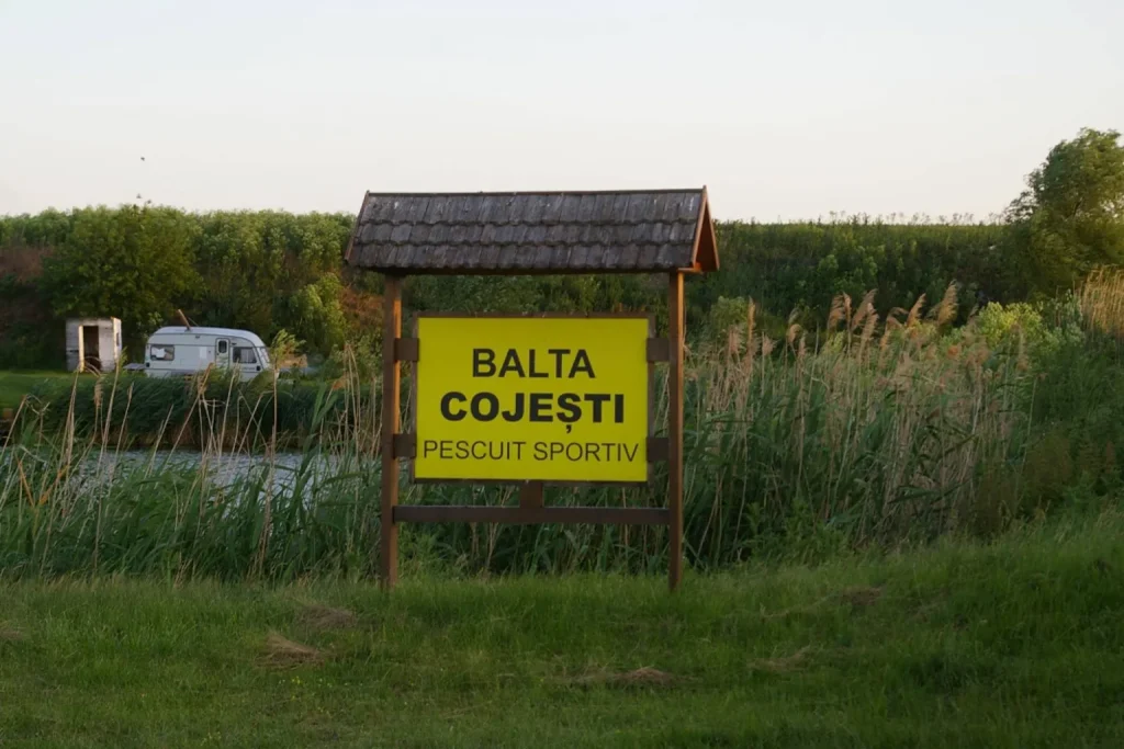 Bălțile Cojești: Ghid Complet pentru Pescari 2025 3 Bălțile Cojești: Ghid Complet pentru Pescari