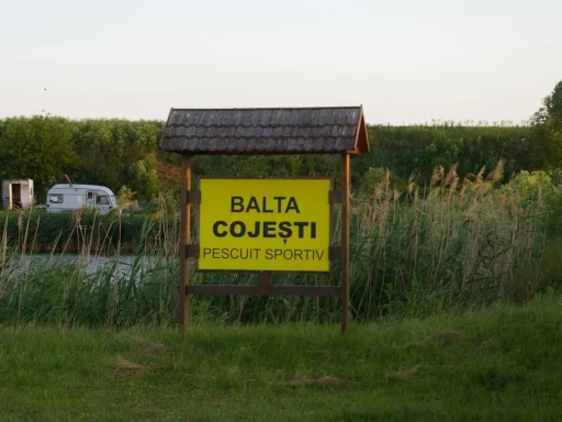 Bălțile Cojești: Ghid Complet pentru Pescari