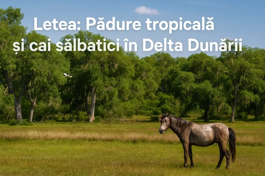 Letea: Pădure tropicală și cai sălbatici în Delta Dunării