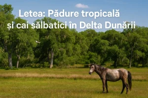 Letea: Pădure tropicală și cai sălbatici în Delta Dunării