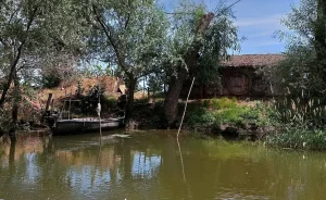 Canalul Litcov: O Călătorie Deosebită Prin Delta Dunării