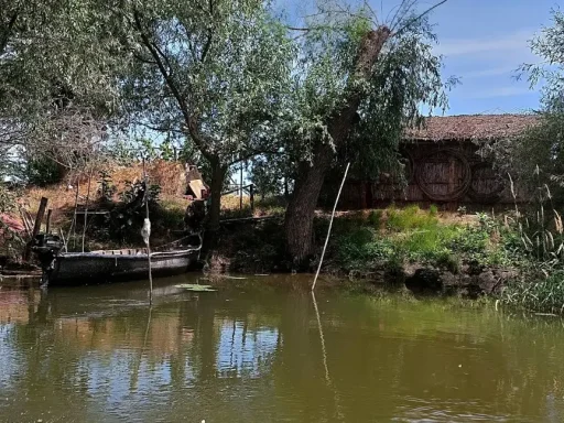 Canalul Litcov: O Călătorie Deosebită Prin Delta Dunării