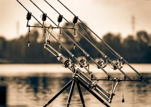 Lacurile Tâncăbești 1 și 2 – Destinații de Top pentru Pescarii Profesioniști