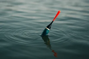 Pescuit la Plută: Tehnici, Momeli și Trucuri Esențiale în 2025