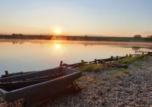 Dyno Lake – Pescuit Sportiv Premium la Doar 25 km de București