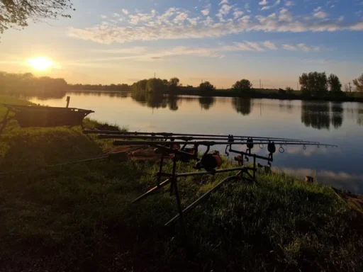 Balta Creața 3 – Pescuit Sportiv și Relaxare lângă București