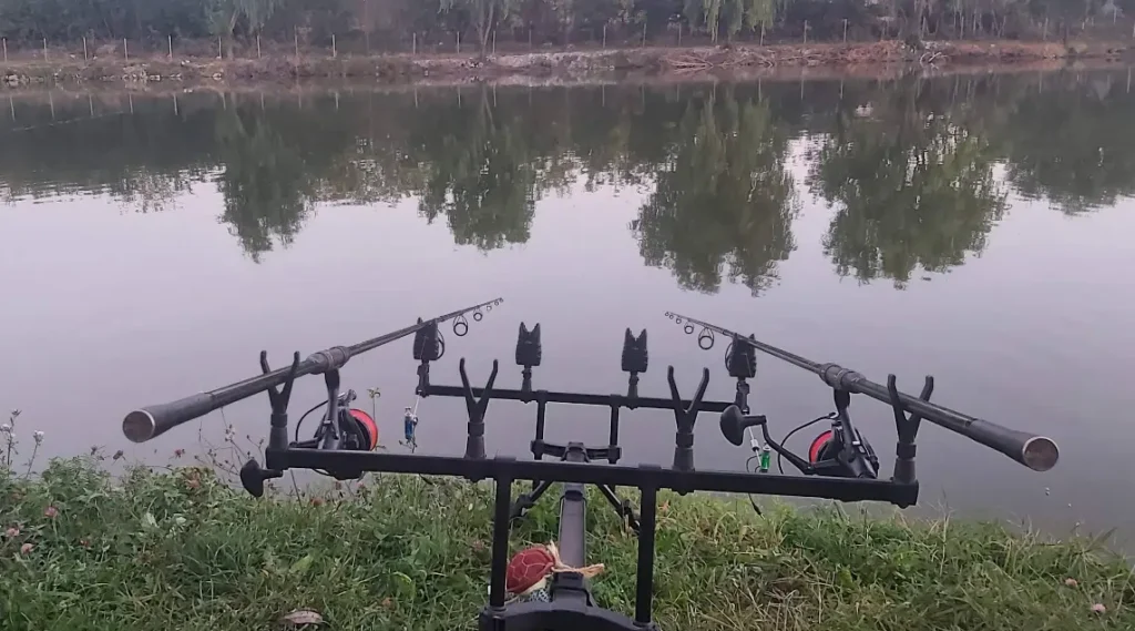 Balta Șindrilița II: Oaza de Liniște și Paradisul Pescarilor Lângă București