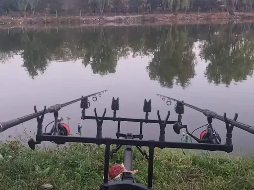 Balta Șindrilița II: Oaza de Liniște și Paradisul Pescarilor Lângă București