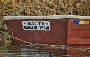 Balta Canalul Vechi Medgidia: O Oază de Pescuit în Inima Dobrogei