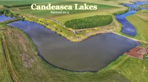 Balta Cândeasca: O Experiență Autentică de Pescuit