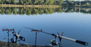 Balta Floarea Popeștiului - Ghid Complet Pescuit