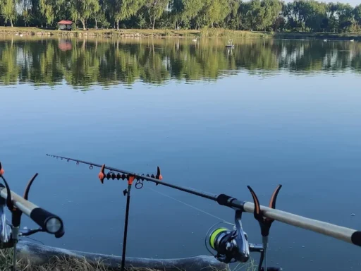 Balta Floarea Popeștiului - Ghid Complet Pescuit