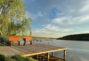 Balta Podari – Tarife, Regulament și Ghid de Pescuit