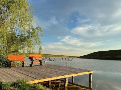 Balta Podari – Tarife, Regulament și Ghid de Pescuit