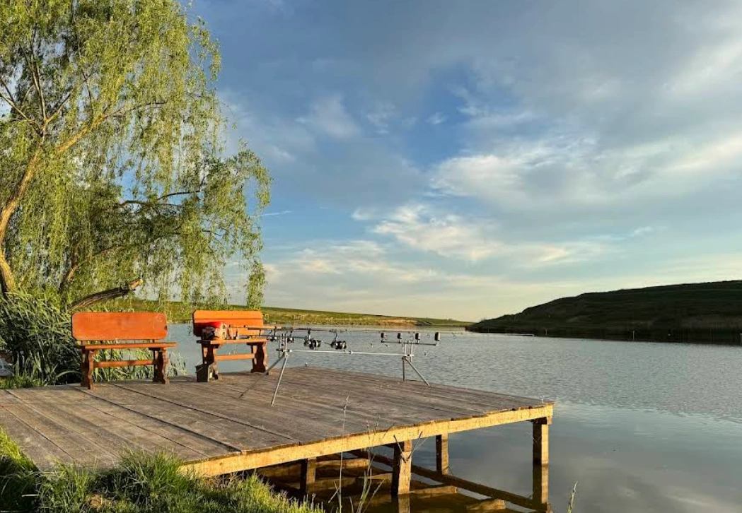 Balta Podari – Tarife, Regulament și Ghid de Pescuit