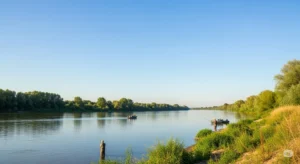 Pescuit Brațul Chilia: Ghid Complet & Cele Mai Bune Locuri