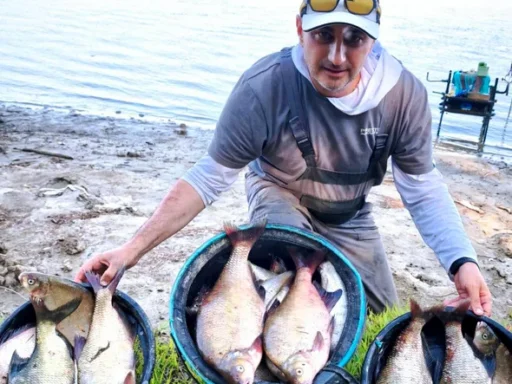 Dunărea și surprizele ei, bat-o vina! O poveste detaliată despre pescuit