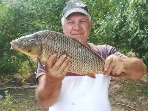Pescuit la crap in zona Jegalia pe bratul Borcea 5 Pescuit la crap in zona Jegalia pe bratul Borcea